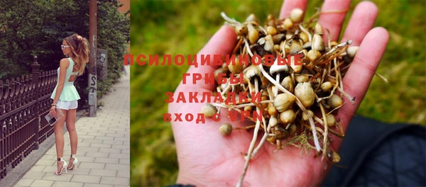 гашик Абдулино