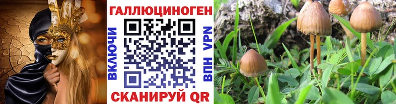 darknet состав  Тимашёвск  Галлюциногенные грибы ЛСД  omg маркетплейс 